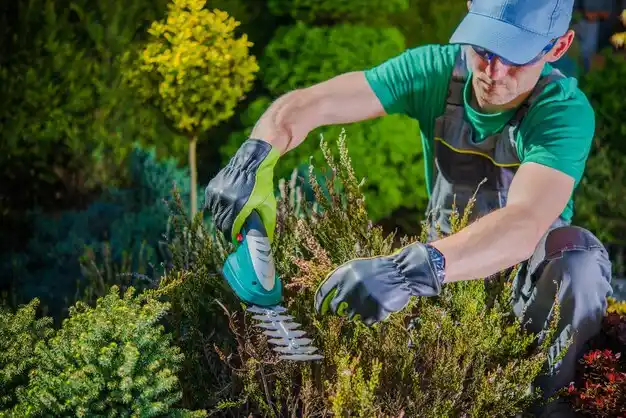 landscaping services St. Ignace